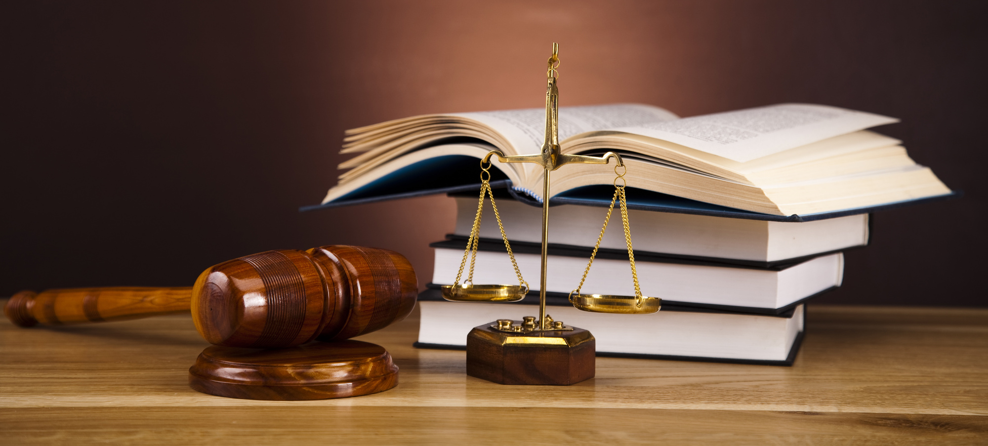  immigration law services 